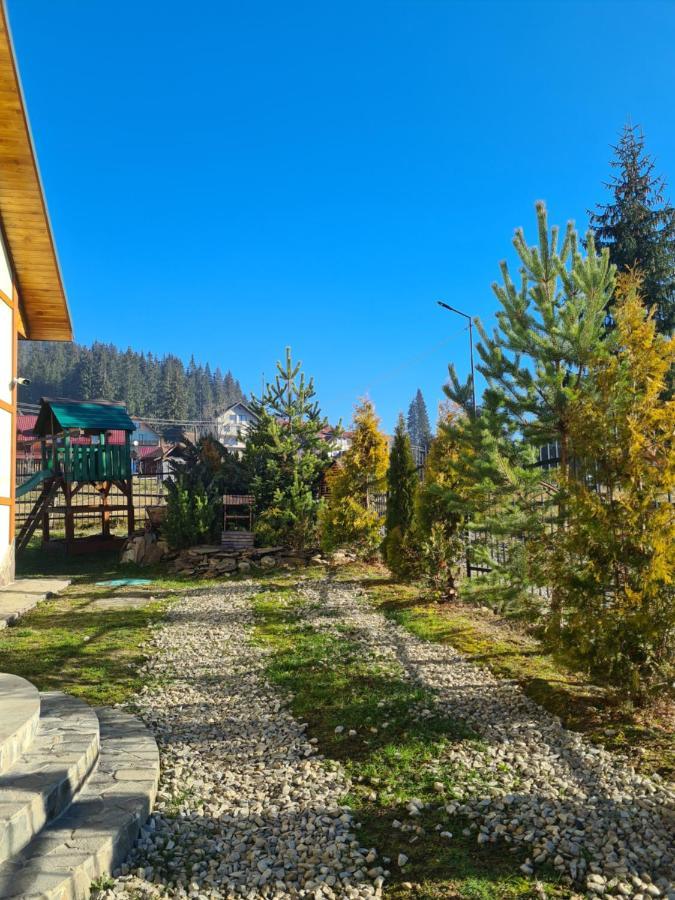 Chalet 888 Cottages Paljanycja Exteriér fotografie