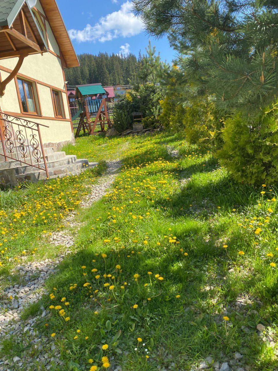 Chalet 888 Cottages Paljanycja Exteriér fotografie